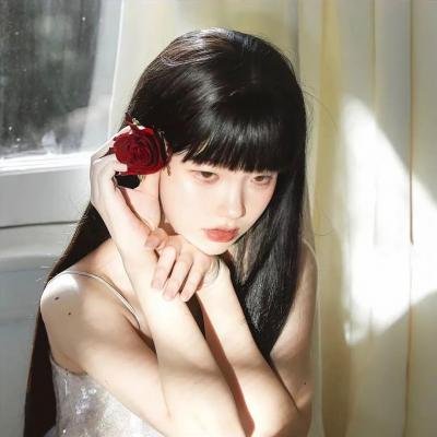丹麦共居生活